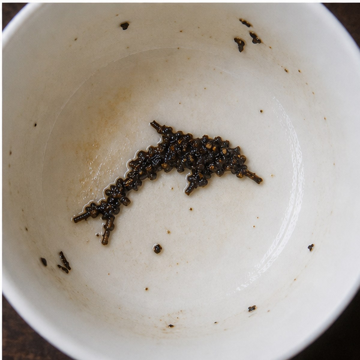 Dolphin tea leaves cup variation three