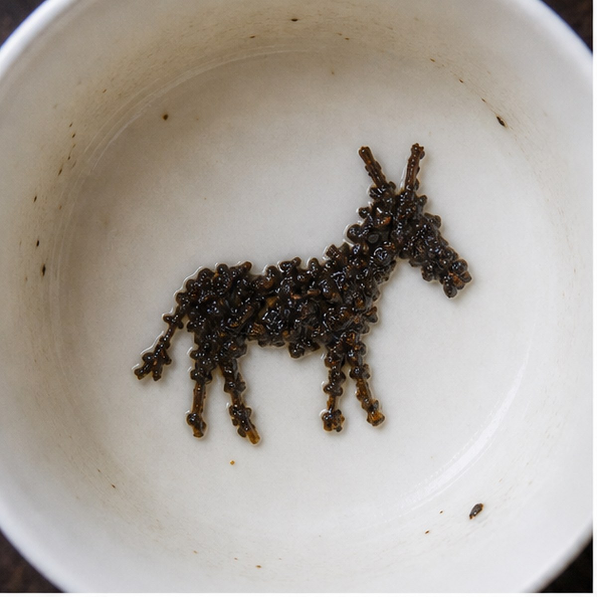 Donkey tea leaf reading cup example