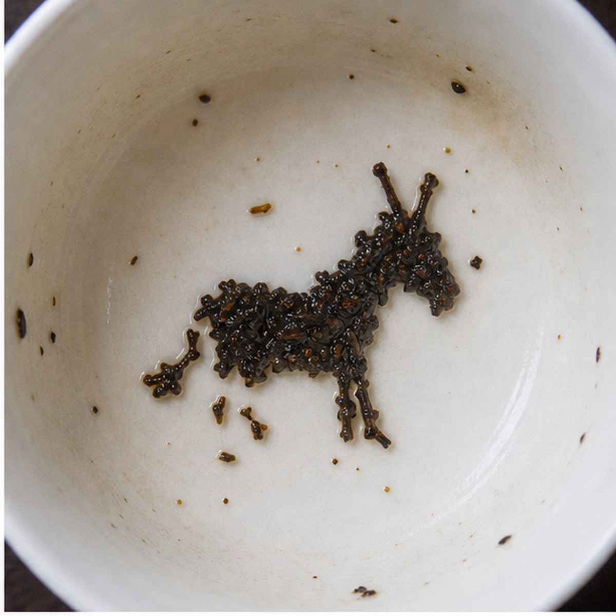 Donkey tea leaves cup variation one