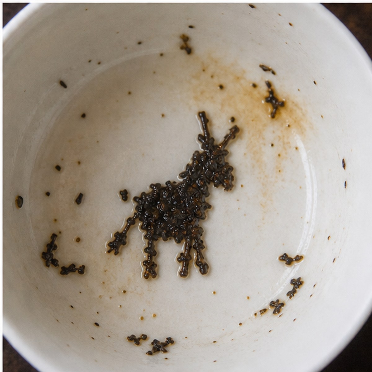 Donkey tea leaves cup variation three