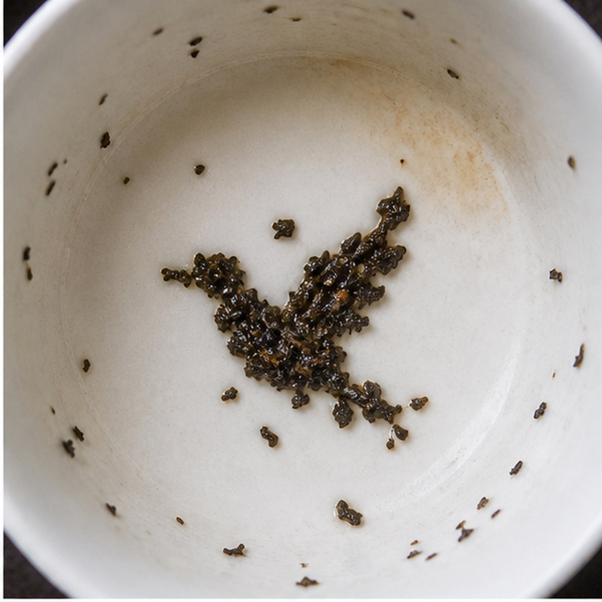 Dove tea leaves cup variation one