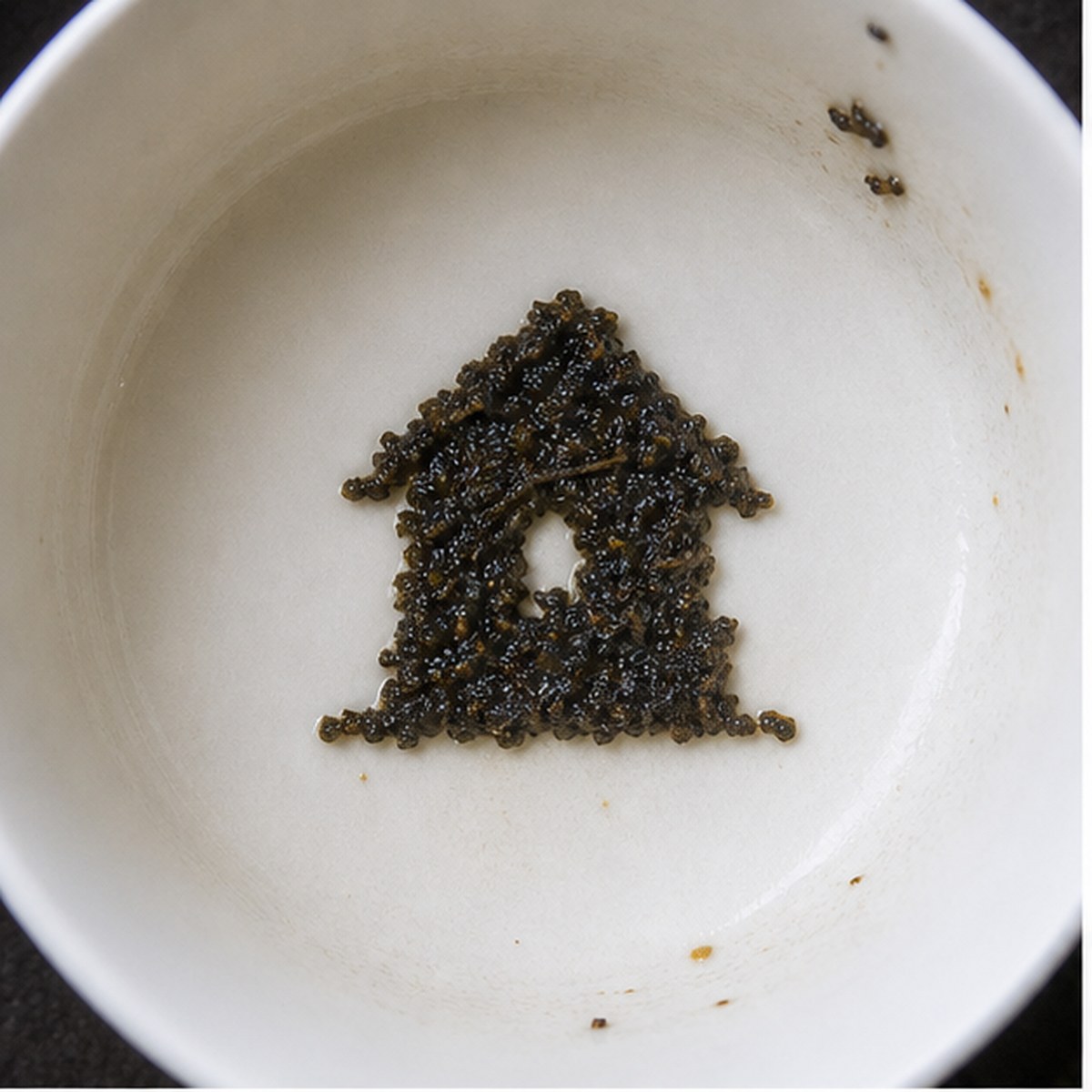 Dovecot tea leaf reading cup example