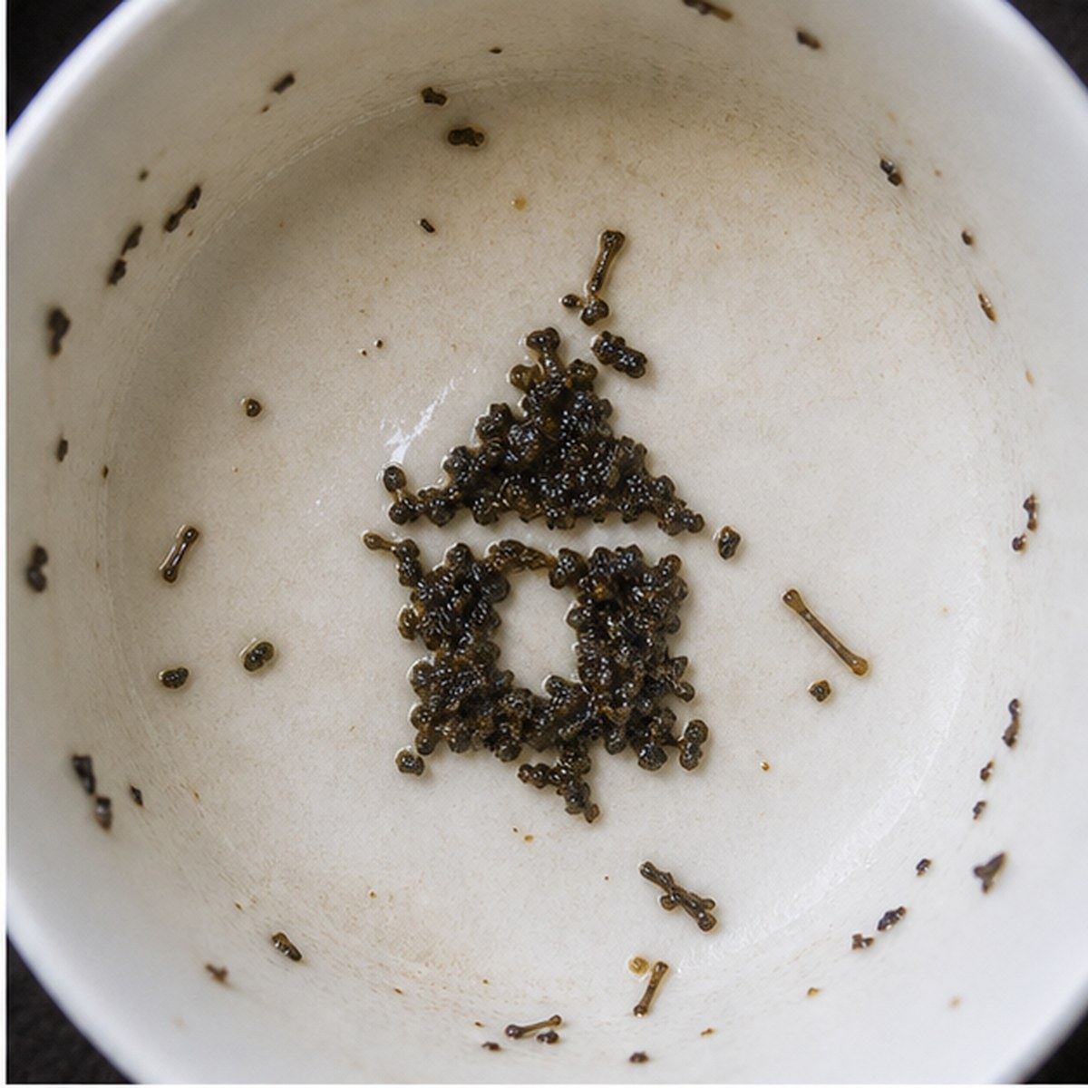 Dovecot tea leaves cup variation one