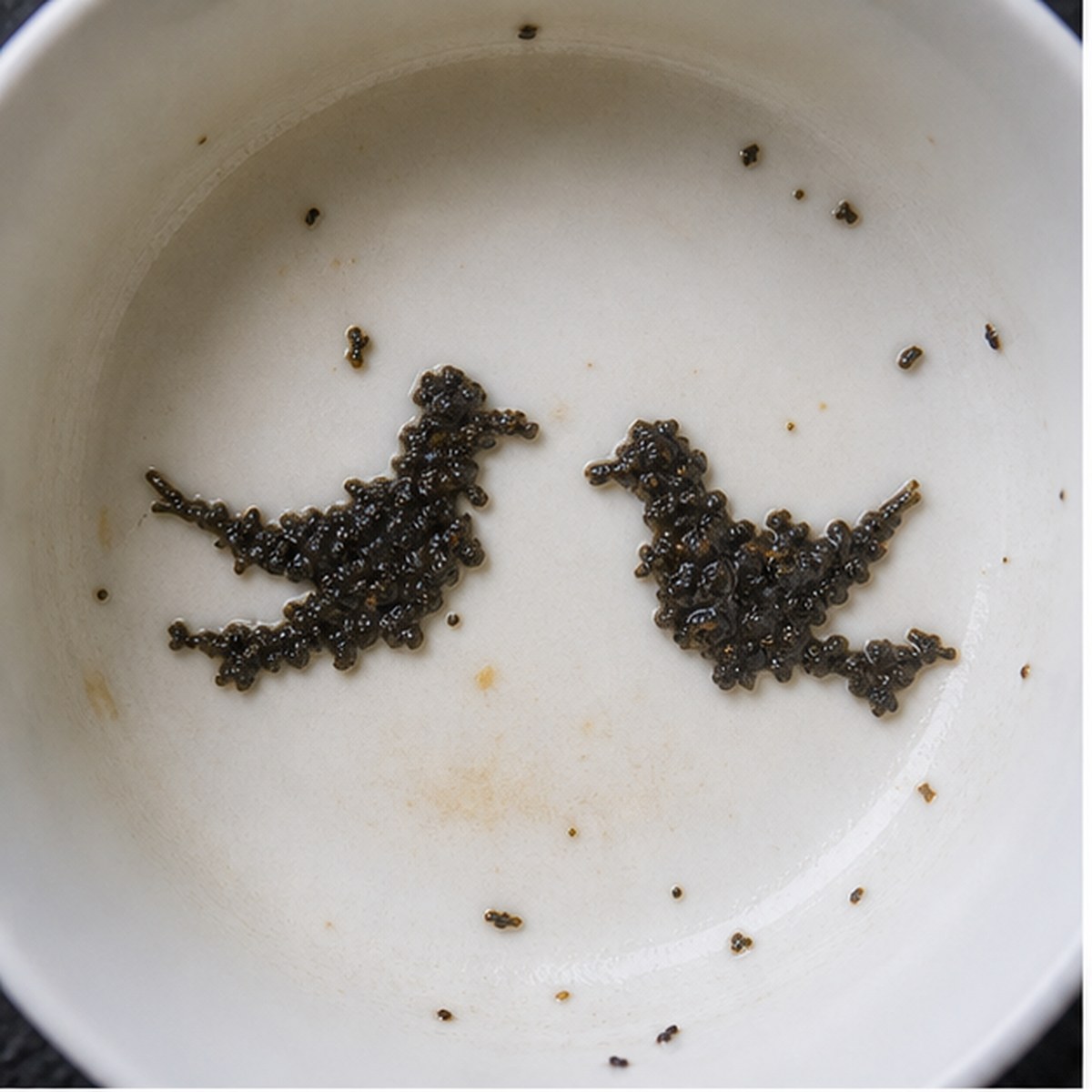 Doves tea leaf reading cup example
