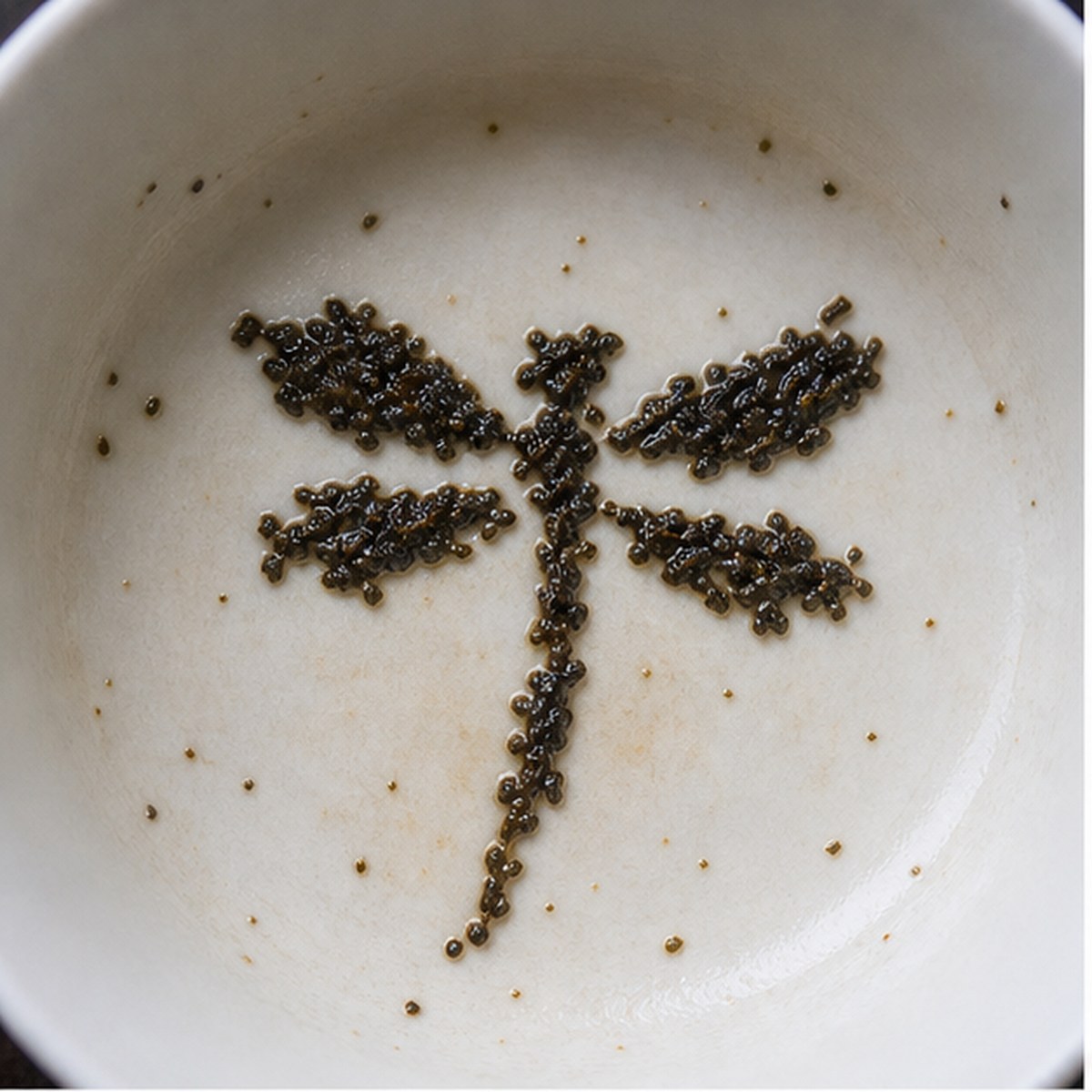 Dragon-Fly tea leaf reading cup example