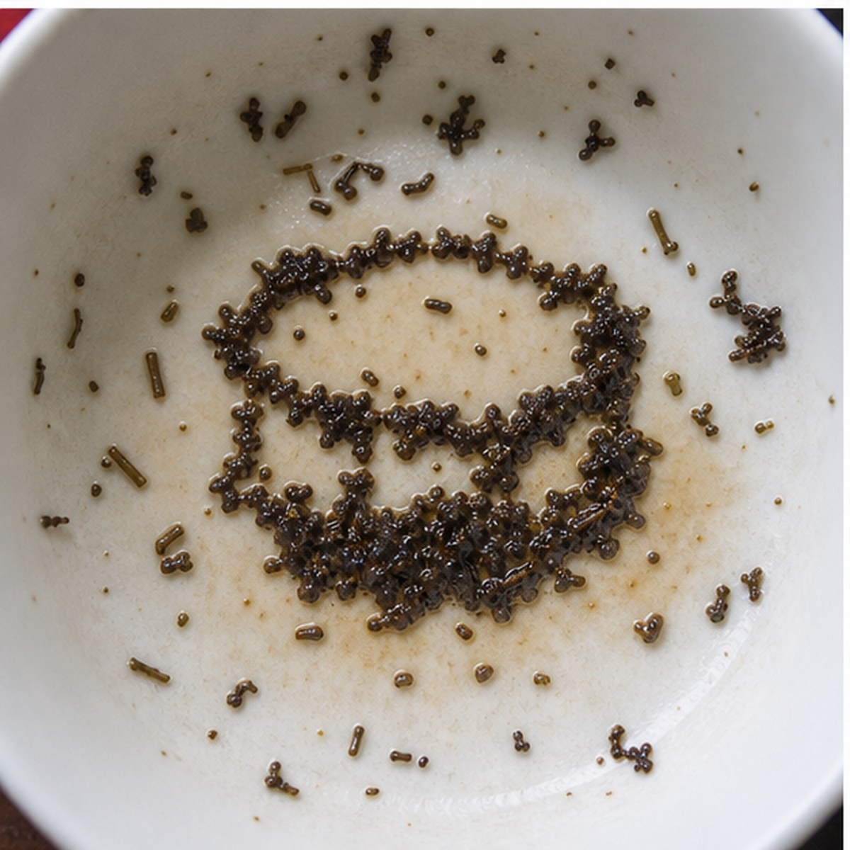 Drum tea leaves cup variation two
