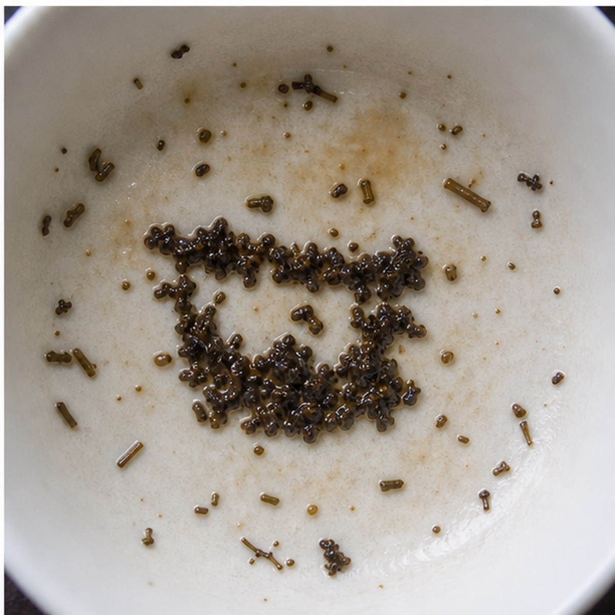Drum tea leaves cup variation three