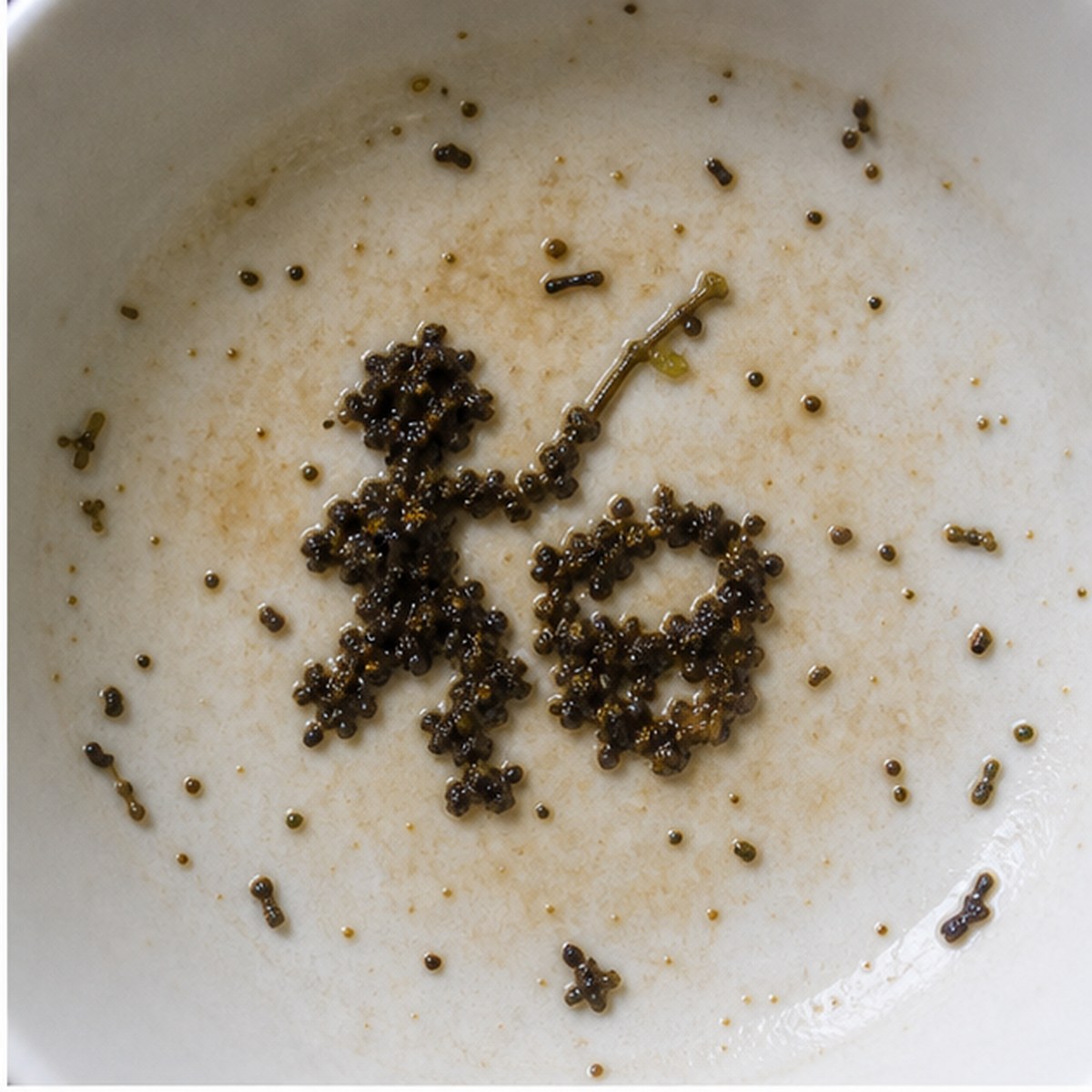 Drummer tea leaves cup variation one
