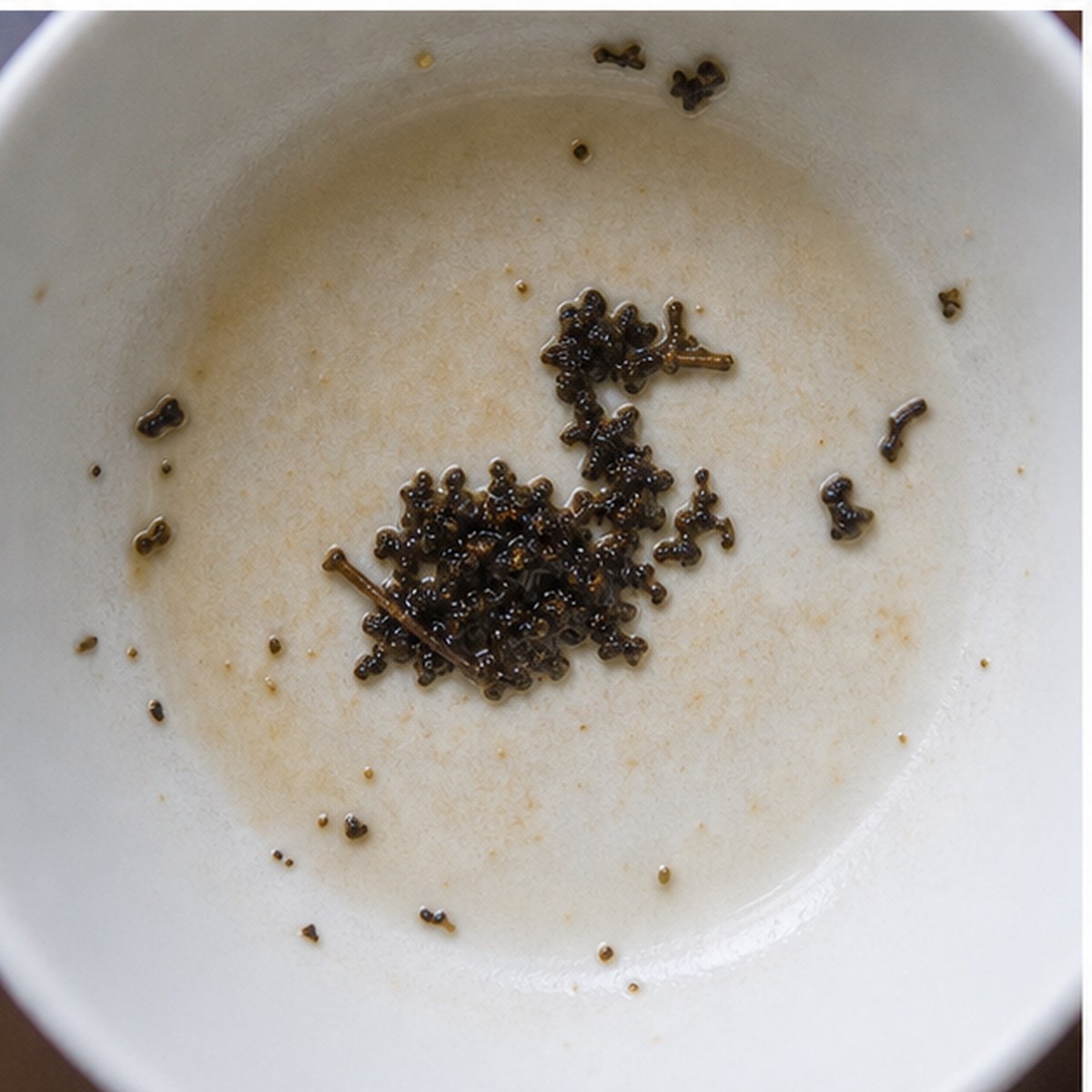 Duck tea leaves cup variation two