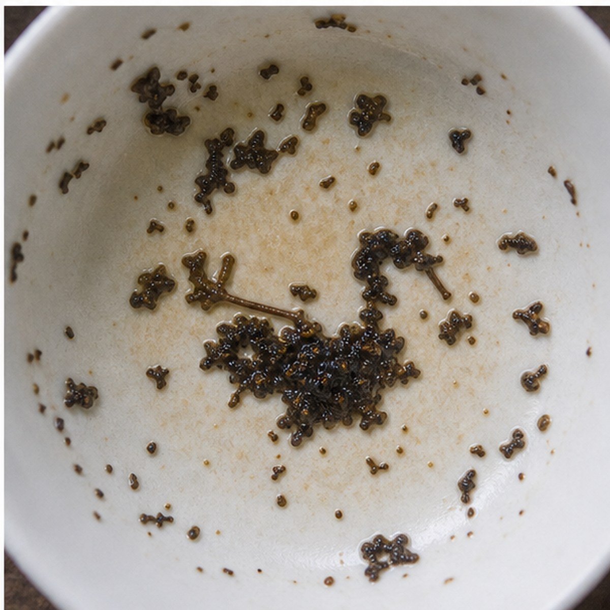 Duck tea leaves cup variation three