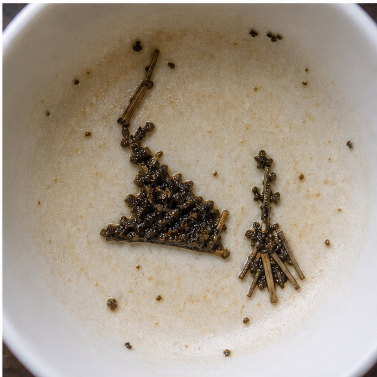 Dustpan And Brush tea leaves cup variation three