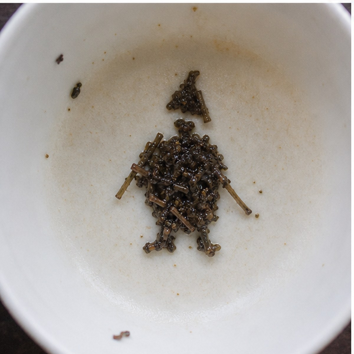 Dwarf tea leaves cup variation two