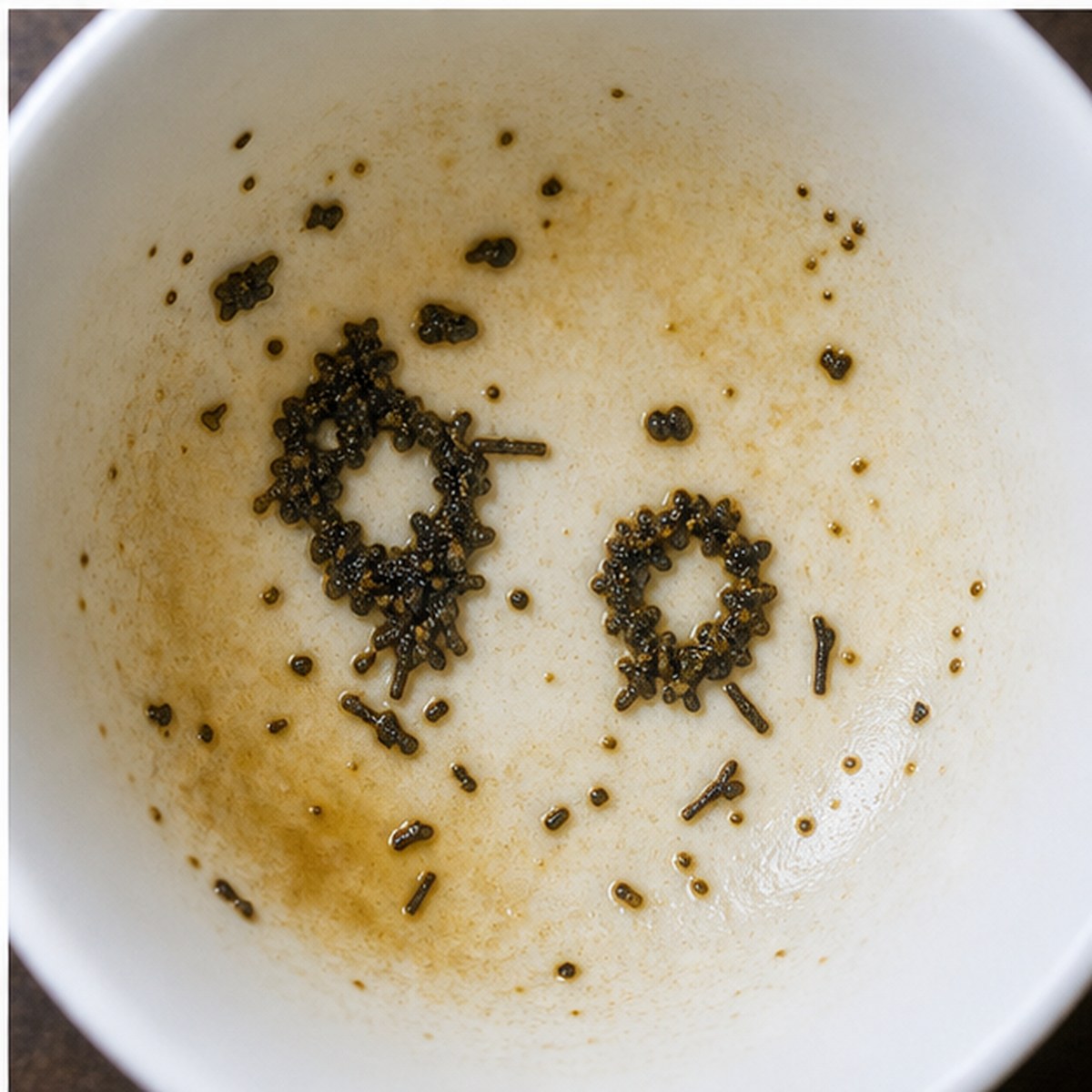 Ear-Rings tea leaves cup variation three