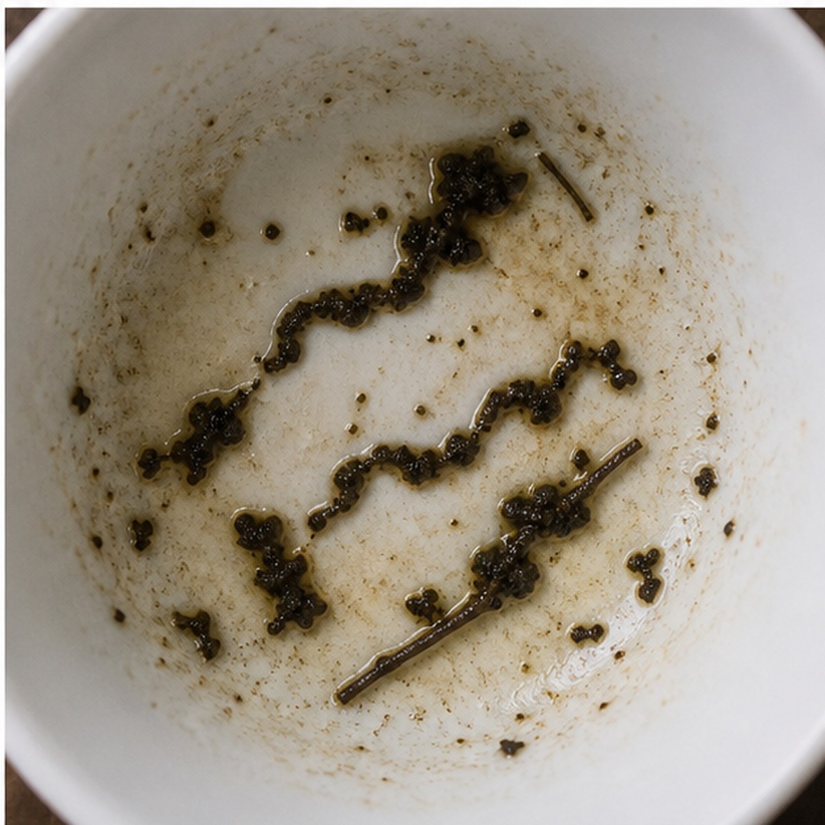Eels tea leaves cup variation three
