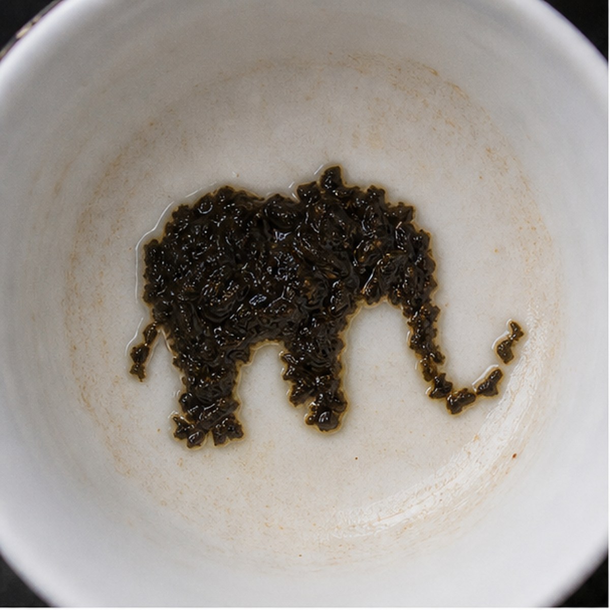 Elephant tea leaf reading cup example