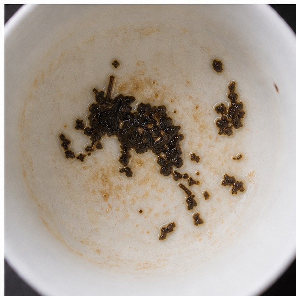 Elephant tea leaves cup variation three