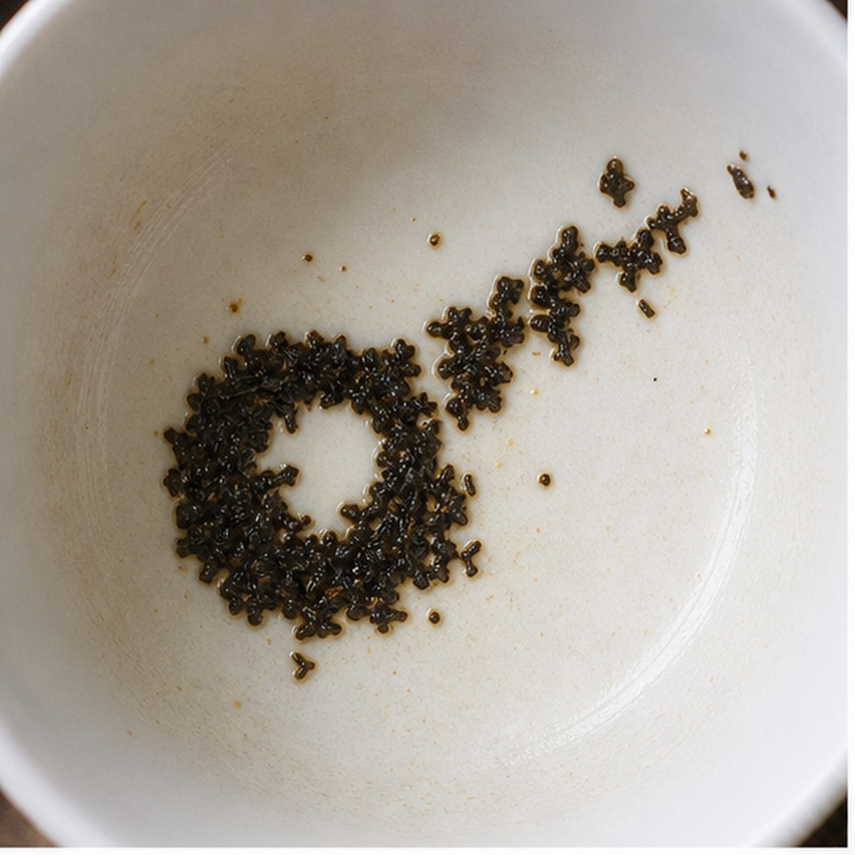 Escape tea leaf reading cup example