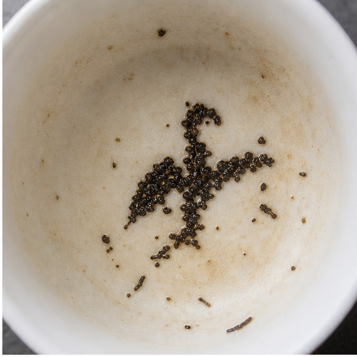 Falcon tea leaves cup variation one