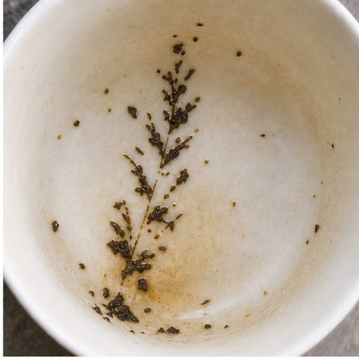 Feathers tea leaves cup variation one