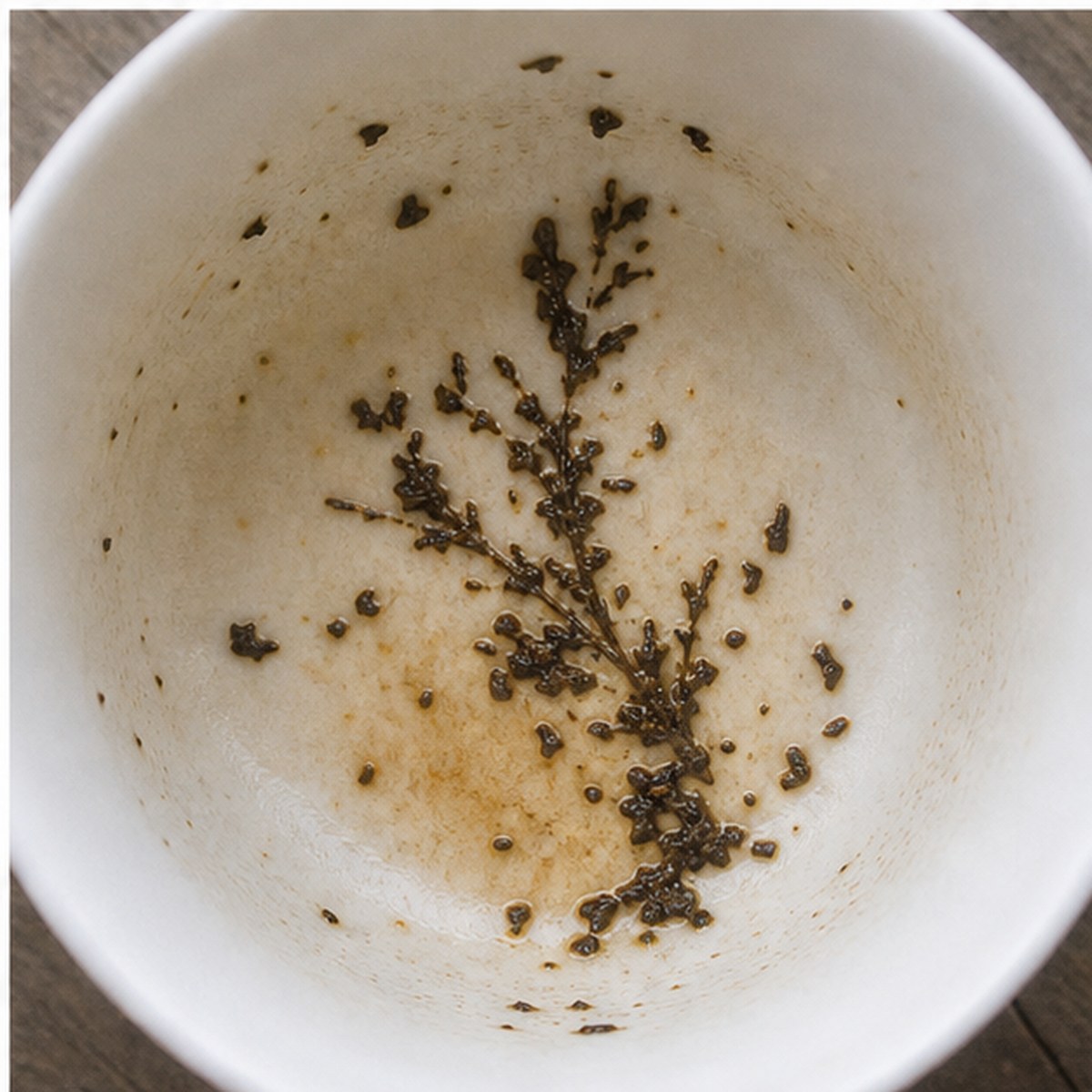 Feathers tea leaves cup variation three