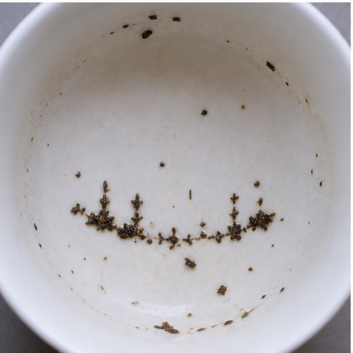 Fender tea leaves cup variation two