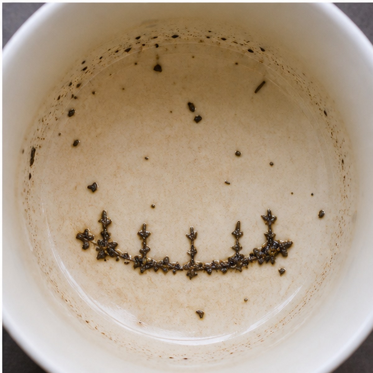 Fender tea leaves cup variation three
