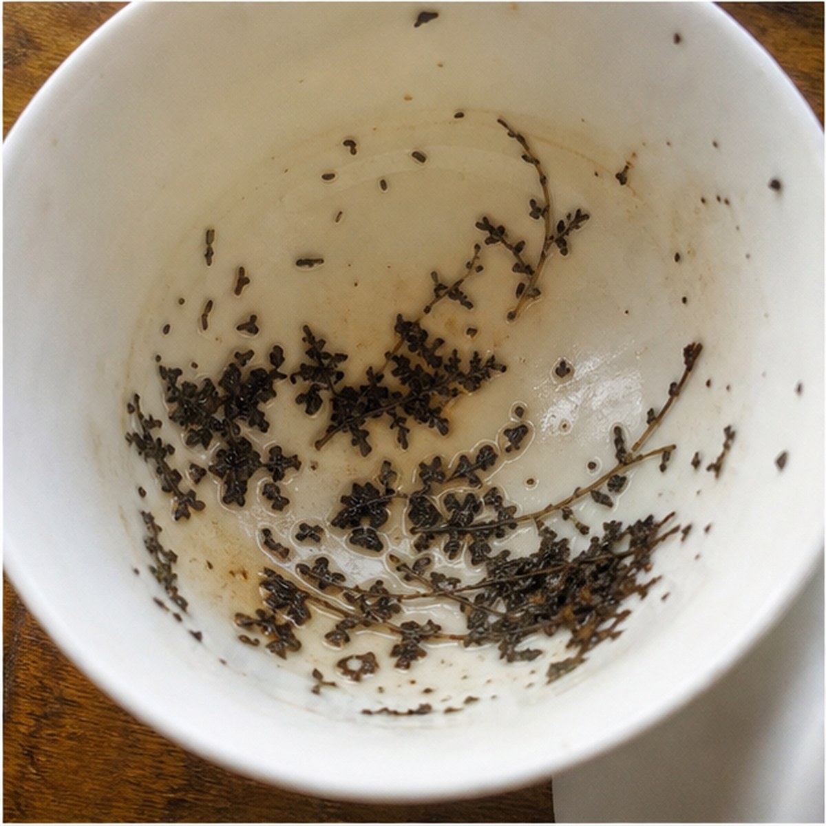 Ferns tea leaves cup variation two