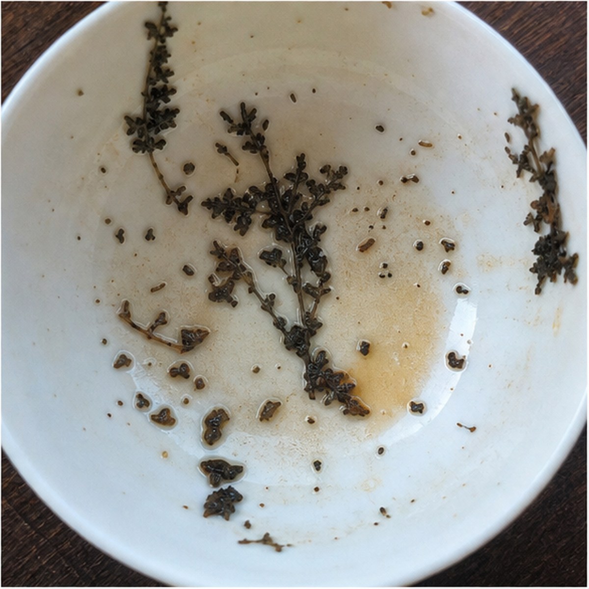 Ferns tea leaves cup variation three