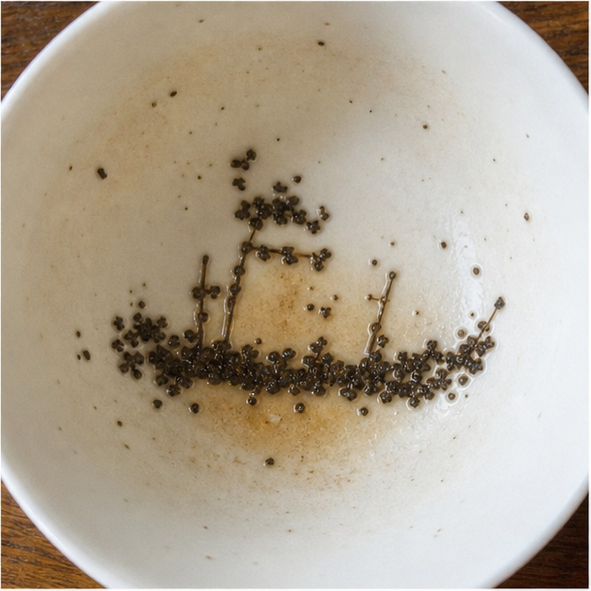 Ferry-Boat tea leaves cup variation three