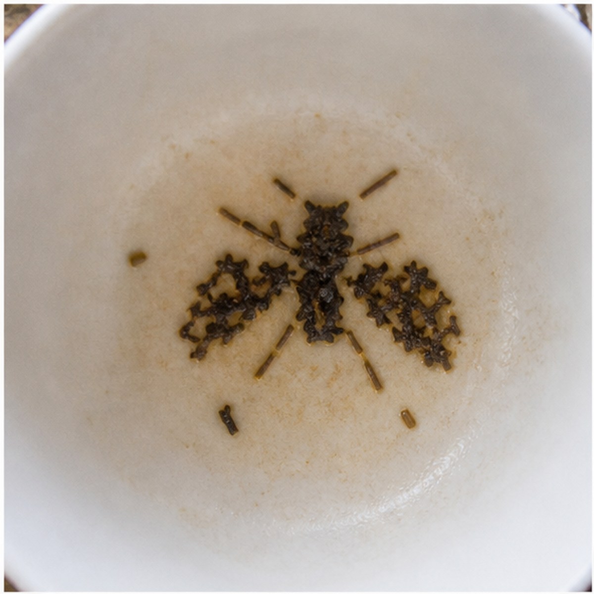 Fly tea leaf reading cup example