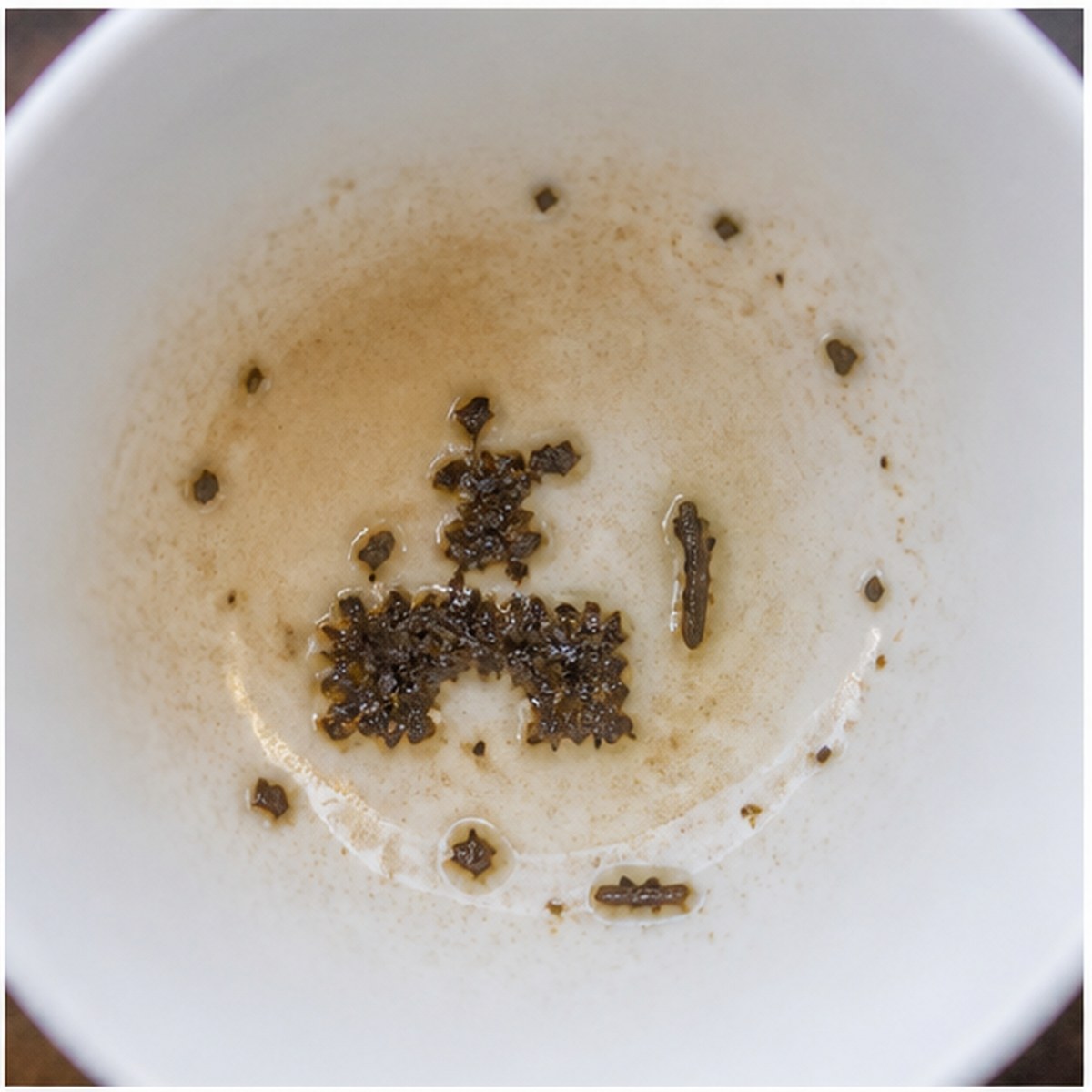 Forge tea leaves cup variation one