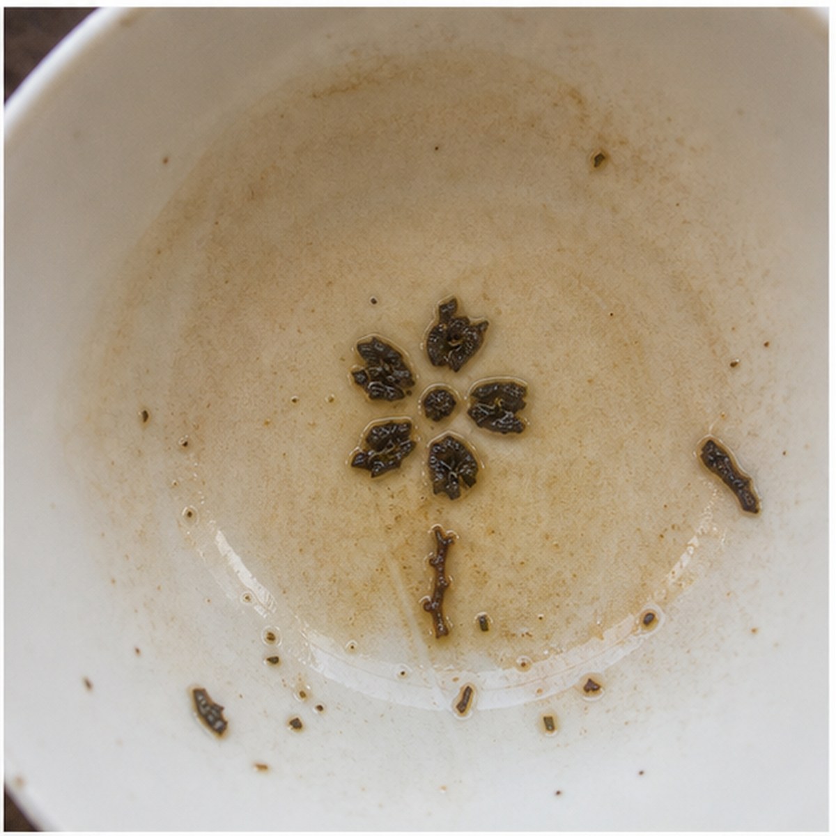 Forget-Me-Not tea leaves cup variation one