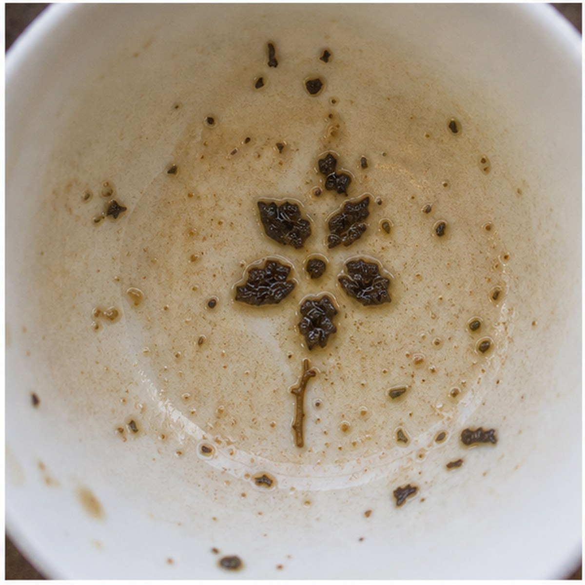 Forget-Me-Not tea leaves cup variation two