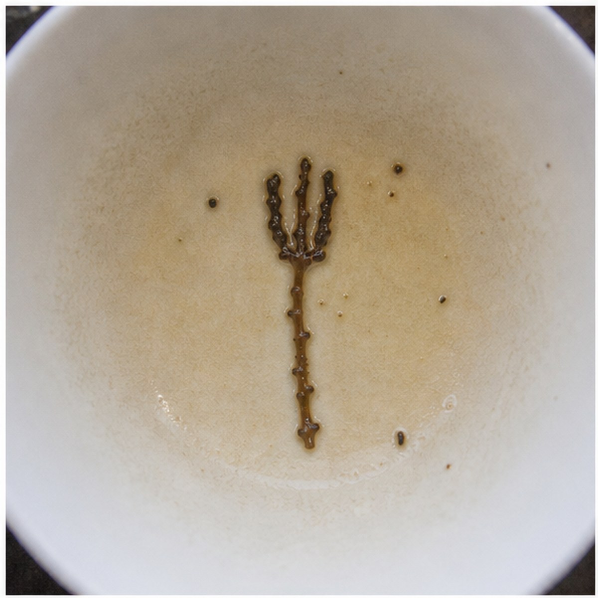 Fork tea leaf reading cup example