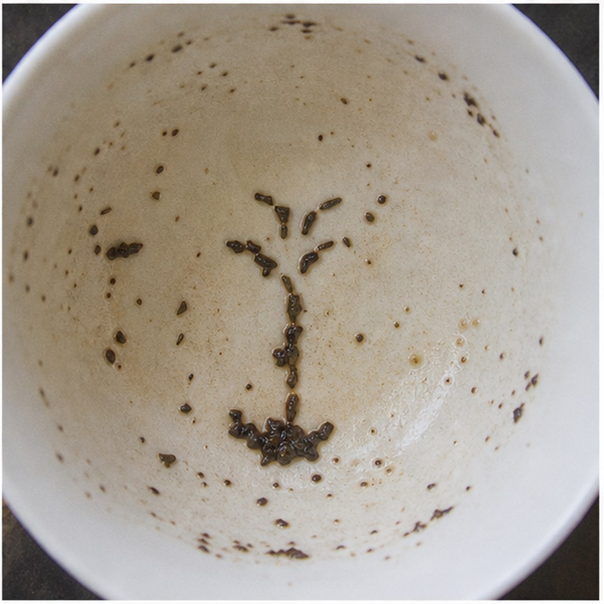 Fountain tea leaves cup variation three