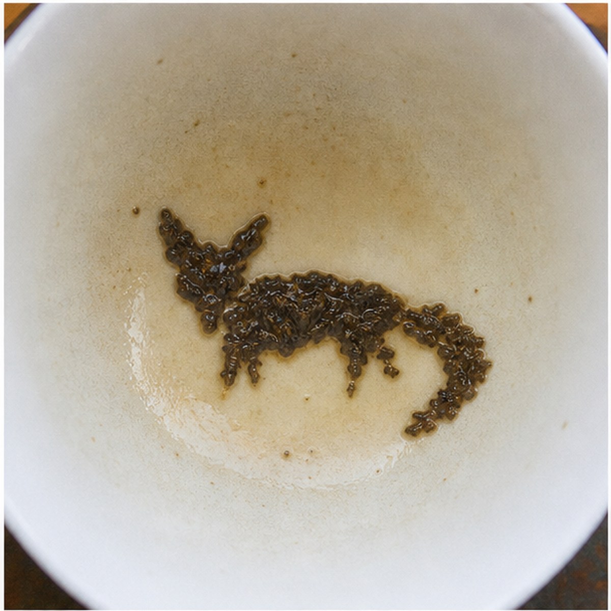 Fox tea leaf reading cup example