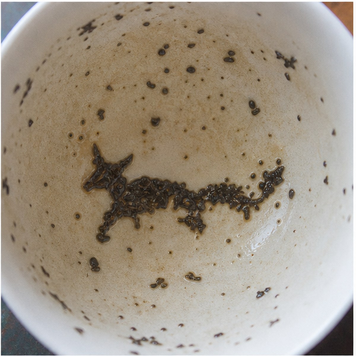 Fox tea leaves cup variation one