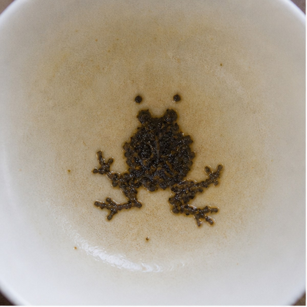 Frog tea leaf reading cup example