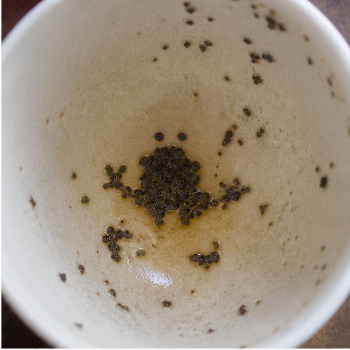 Frog tea leaves cup variation one