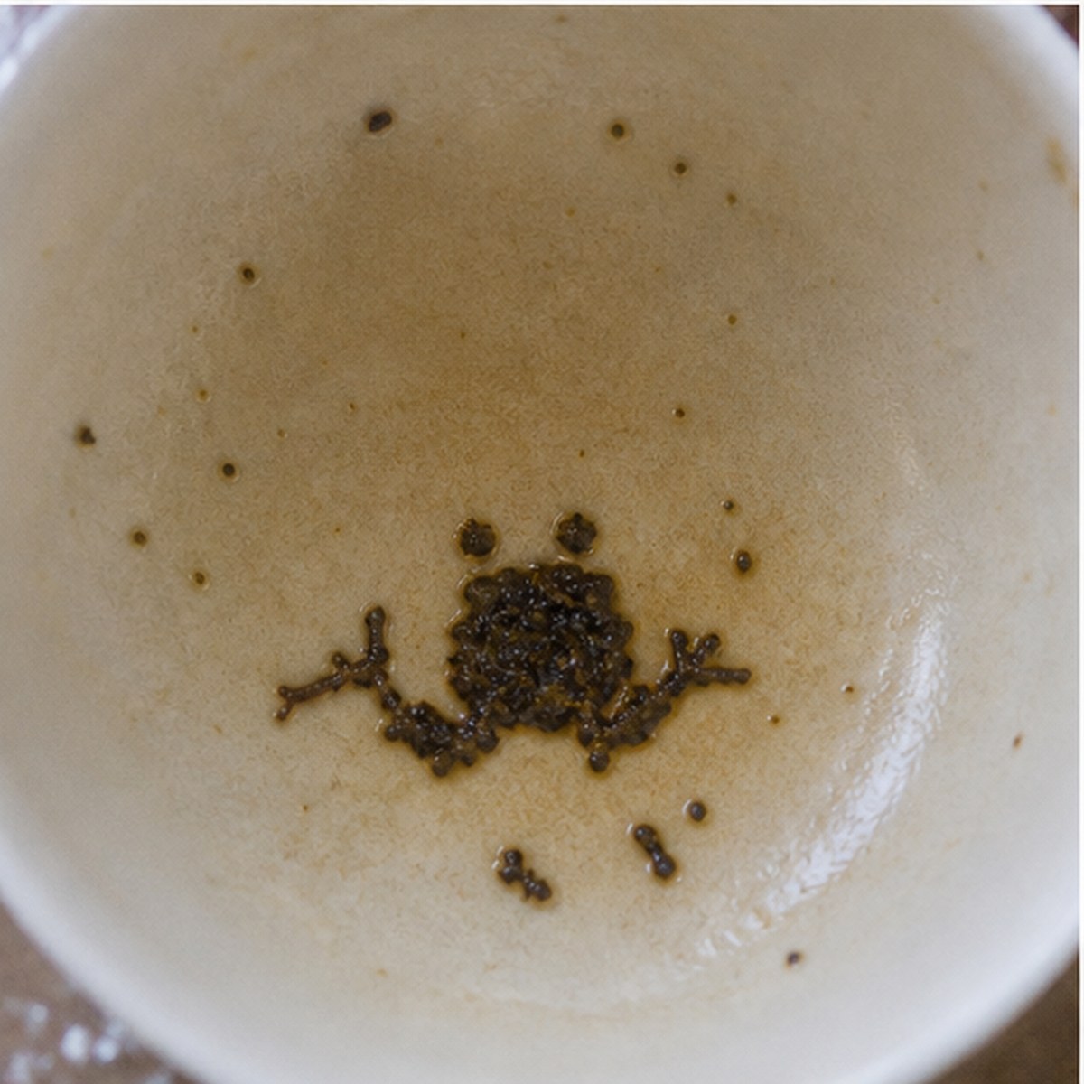 Frog tea leaves cup variation two