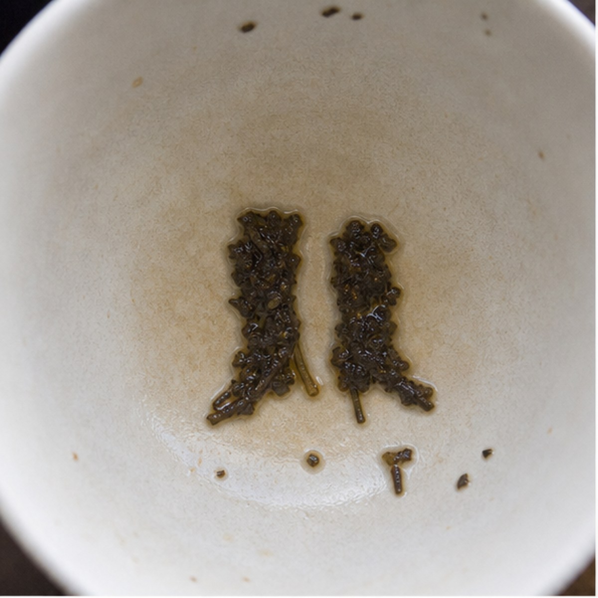Gaiters tea leaf reading cup example