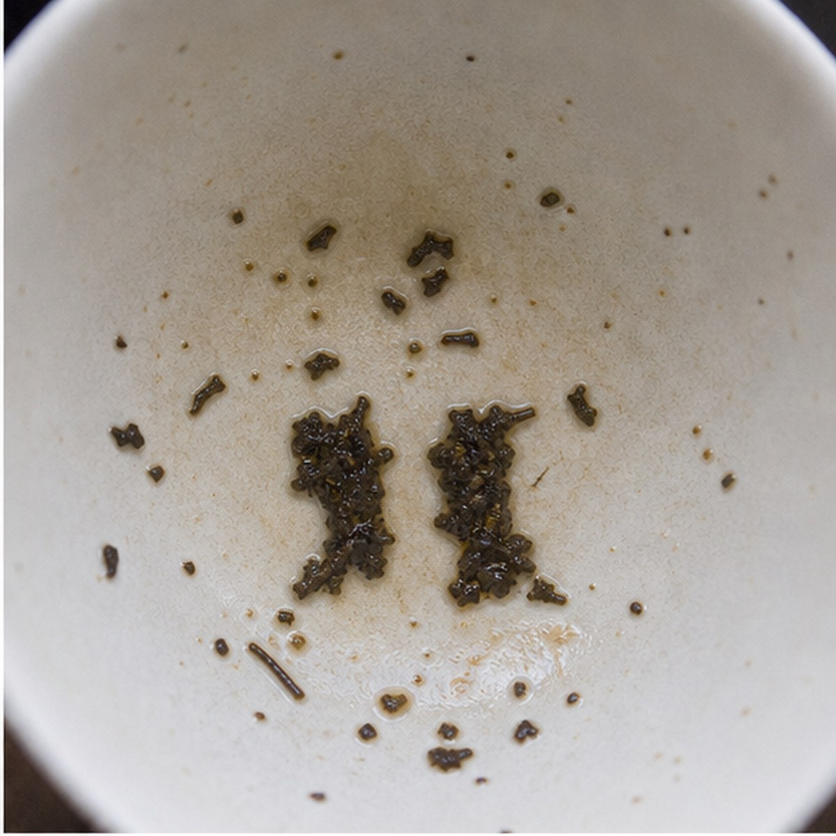 Gaiters tea leaves cup variation one