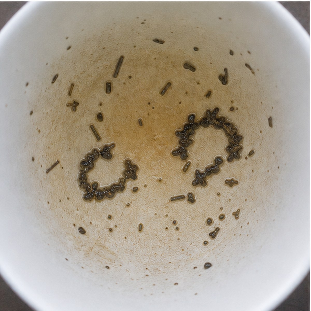 Garters tea leaves cup variation two
