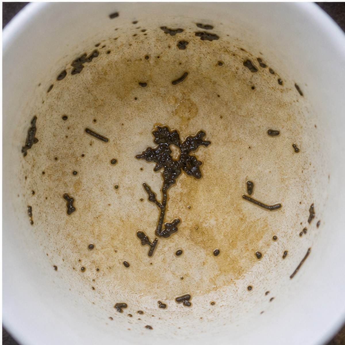 Gentian tea leaves cup variation three