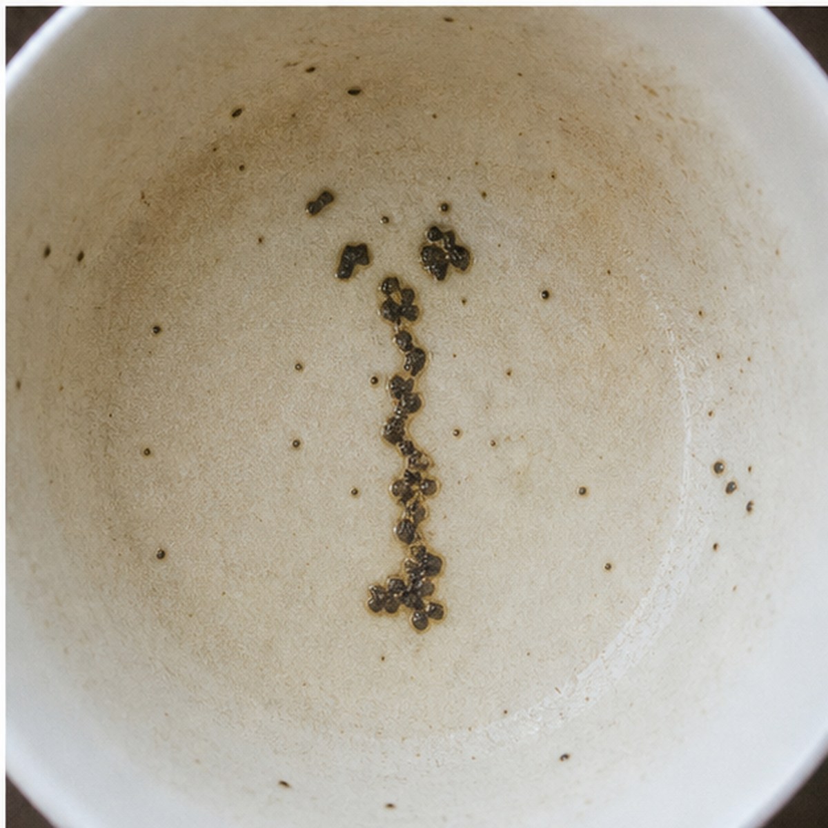 Gimlet tea leaves cup variation three