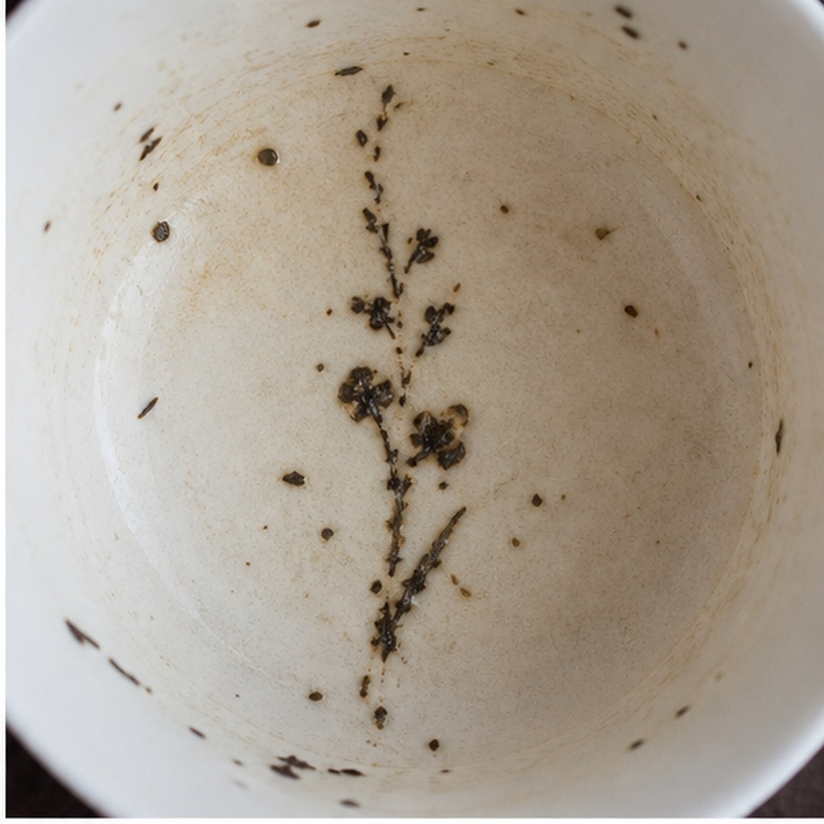 Gladioli tea leaves cup variation one