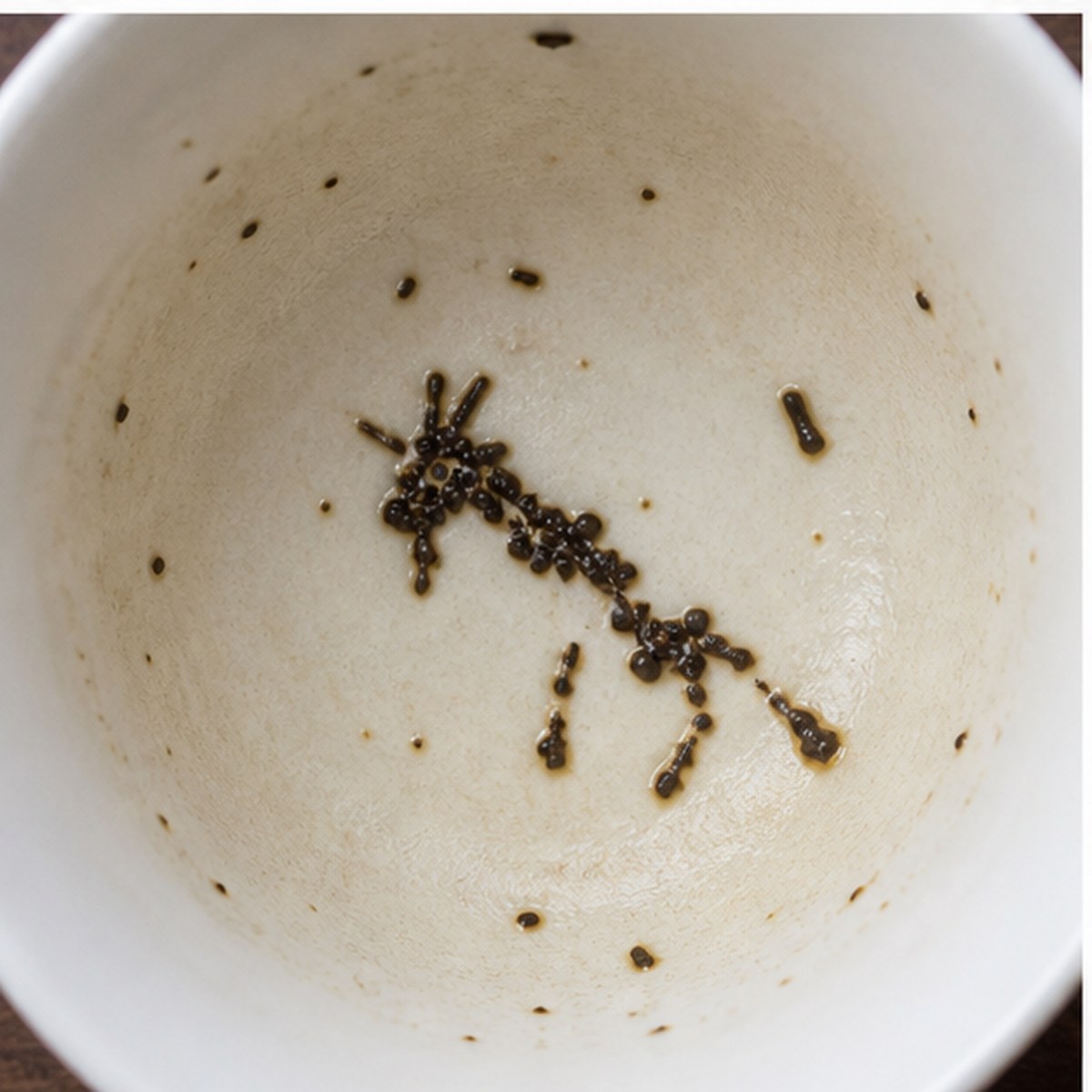 Goat tea leaves cup variation two
