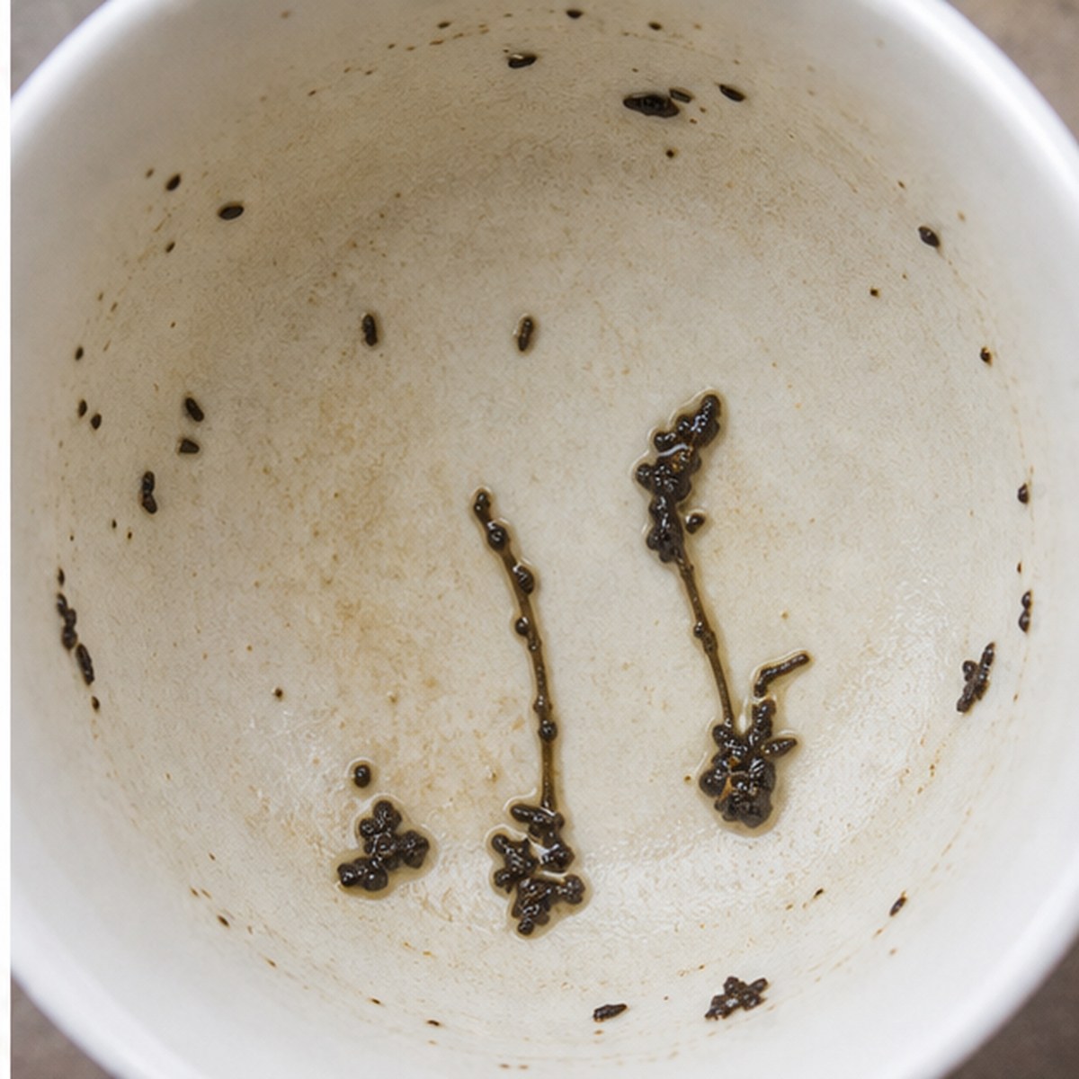 Golf Clubs tea leaves cup variation one