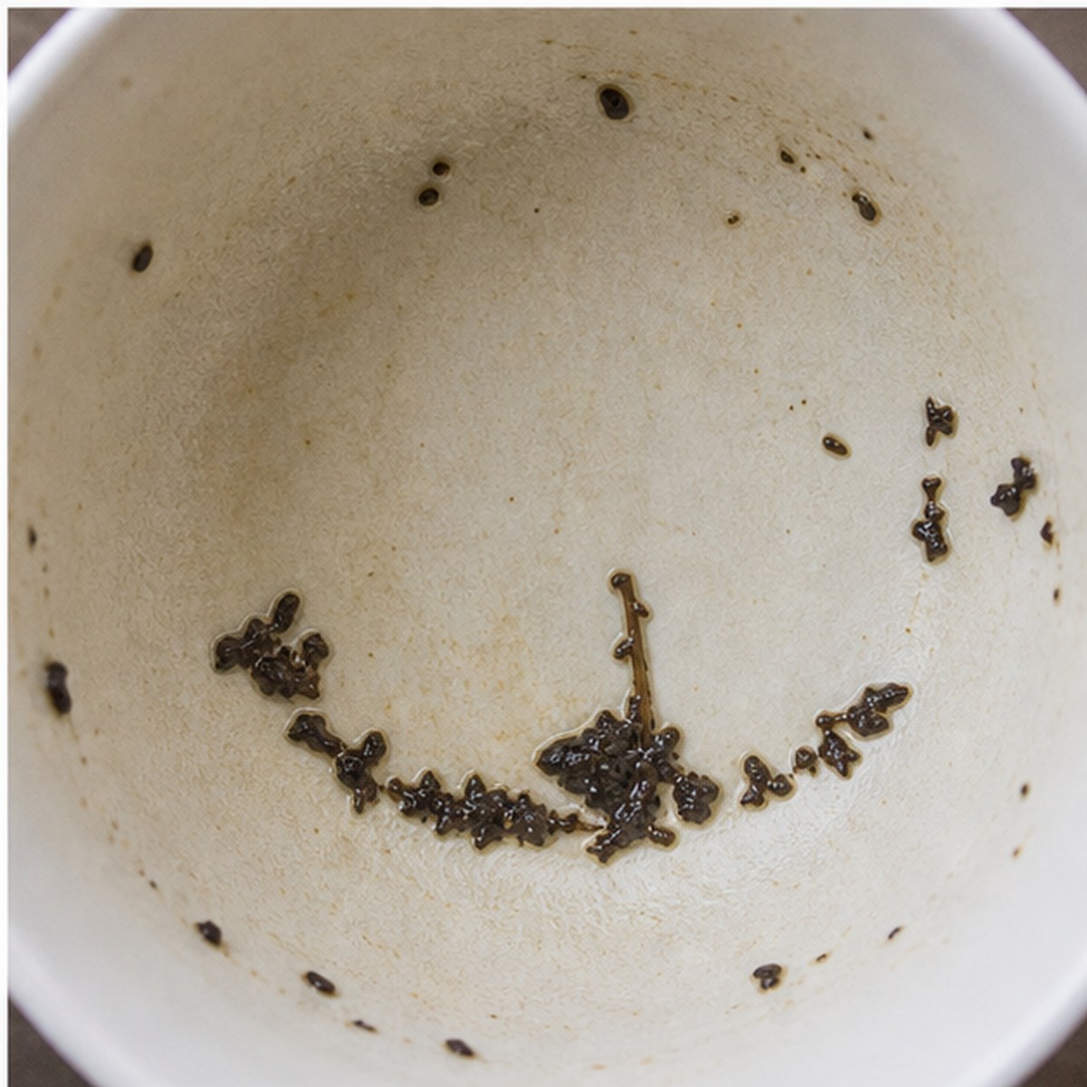 Gondola tea leaves cup variation three