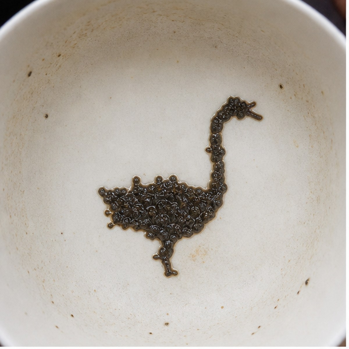 Goose tea leaf reading cup example